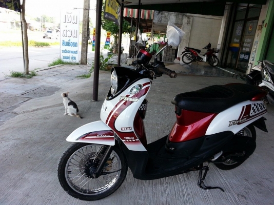 ฟีโน่เกแยก