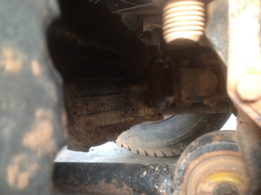 ขายด่วนหลง528 ดั้มโคราชสวยเดิม สด บาง กล้ารับประกันว่าสวยจริง