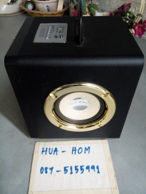 ลำโพง กระเป๋าหิ้ว เสียบ USB card FM มีลำโพง 2 ดอก