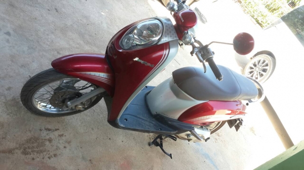 สกูปี้53