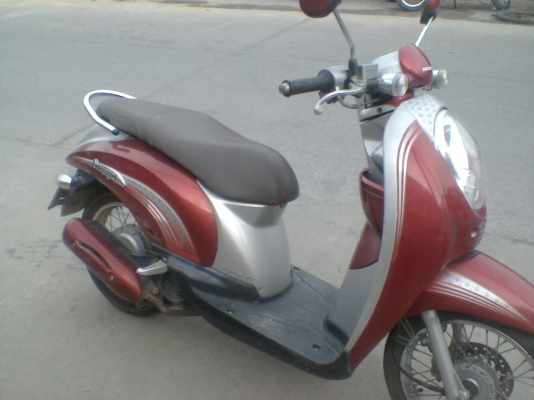 สกูปี้53