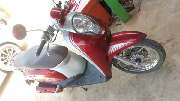 สกูปี้53