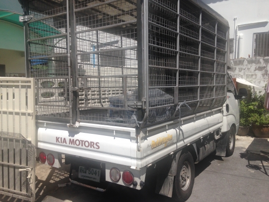 รถบรรทุก4ล้อ Kia2900