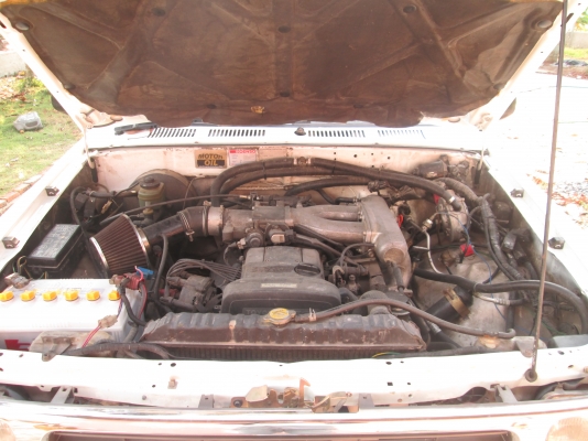 ขายไมตี้สั้น