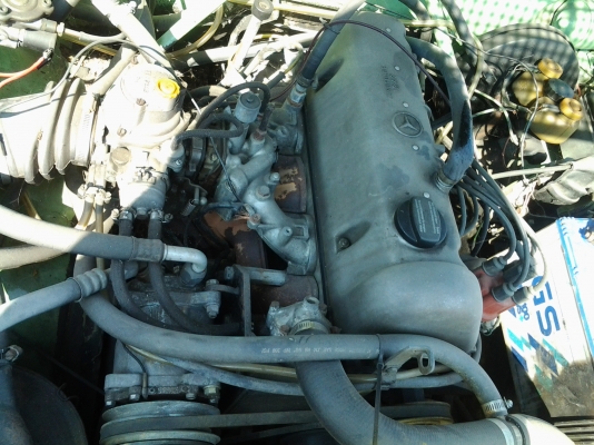 ขาย  ตาตั้ง w 115