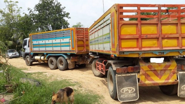 ขายดาวน์ รถ สิบล้อ HINO FM 3M 240 แรง ติดก๊าช พ่วงแม่ลูก ดั้มมิเนียม รถยังวิ่งงานอยู่ สนใจนัดดูรถได้