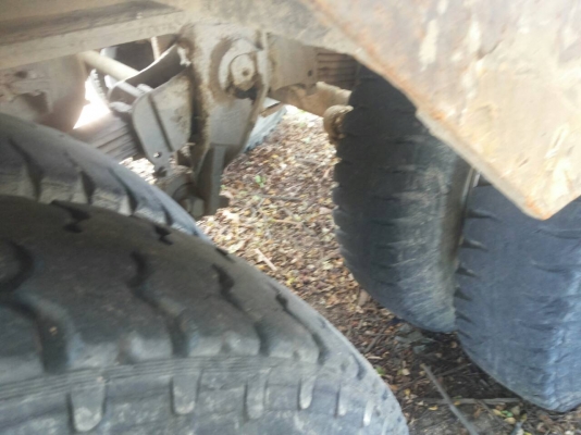 หางโลเบทพร้อมทะเบียน