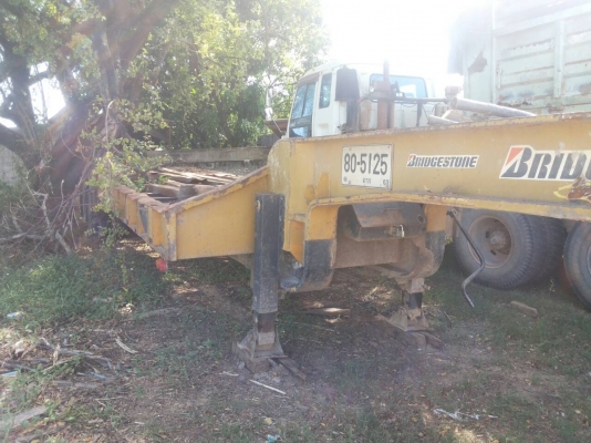 หางโลเบทพร้อมทะเบียน