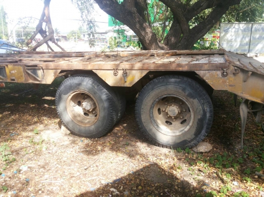 หางโลเบทพร้อมทะเบียน