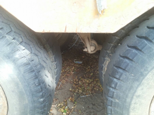 หางโลเบทพร้อมทะเบียน