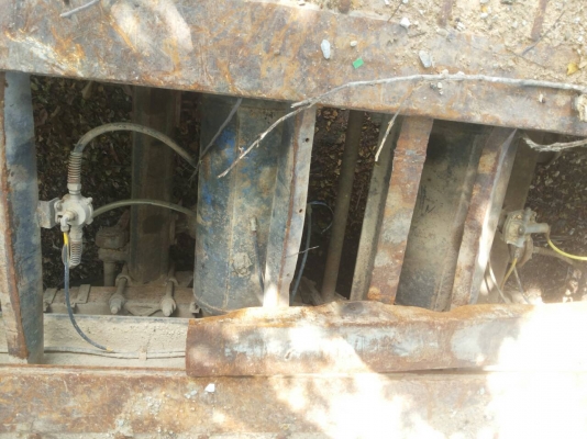 หางโลเบทพร้อมทะเบียน