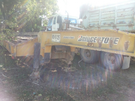 หางโลเบทพร้อมทะเบียน