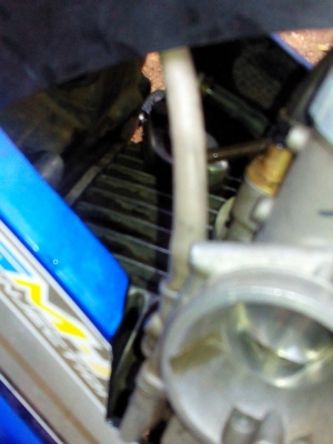 เวฟ125เอสปี51 เวฟ125เอสปี51