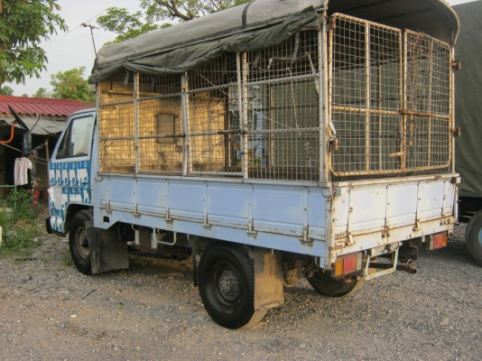 หลุดมัดจำแล้ว...ต้องการขาย 4 ล้อ อีซูซุ 88 แท้ห้าง เกียร์สั้นสภาพพร้อมใช้ เครื่องฟิตดีไม่มีเยิ้ม สภาพสวย  ซื้อไปใช้งานได้เลย