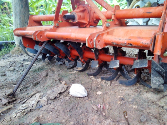 มารับแล้วครับ อ.กันทราลักษณ์ จ.ศรีสะเกษ  ขอบคุณทีมงานTruck2Handมากๆครับ