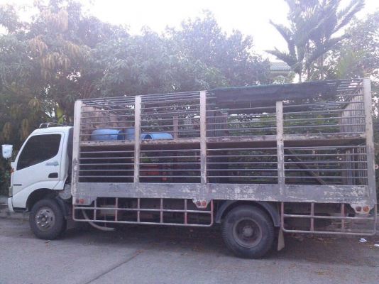 ขายรถ6ล้อบรรทุกหมู