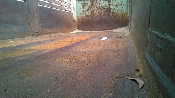 10ล้อดั้ม2เพลา ISUZU FVZ32MZP R 195แรง รถห้างแท้ ขายตามสภาพ...ไม่มีเล่ม.. 10ล้อดั้ม2เพลา ISUZU FVZ32MZP R 195แรง รถห้างแท้ ขายตามสภาพ...ไม่มีเล่ม..