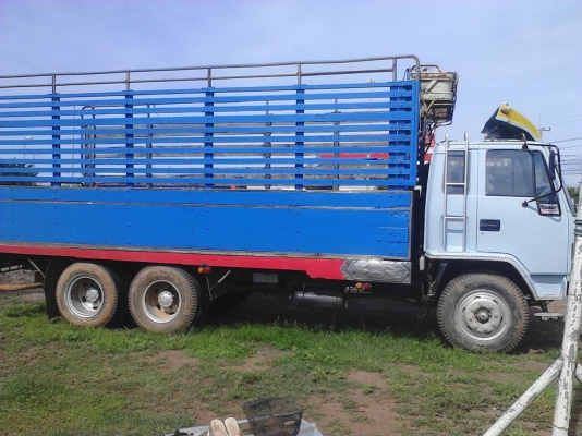 ร็อคกี้195ปี37 ร็อคกี้195ปี37