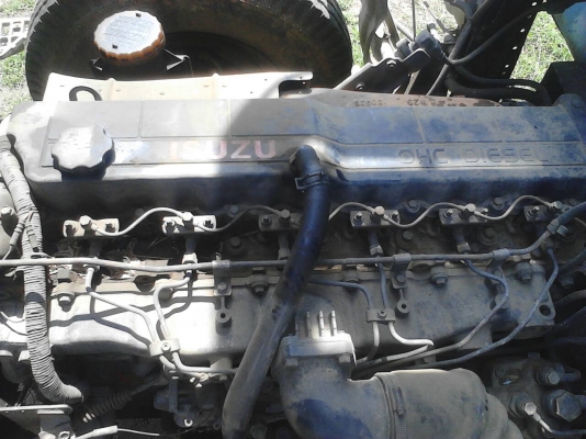 ร็อคกี้195ปี37 ร็อคกี้195ปี37