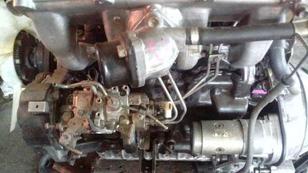 ขายเครื่องมังกรทอง+เกียร์