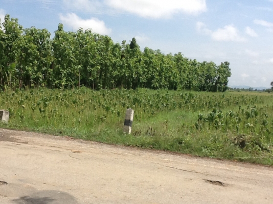 ขายที่ดิน ขายที่ดิน