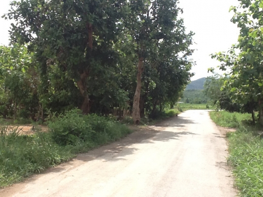 ขายที่ดิน ขายที่ดิน