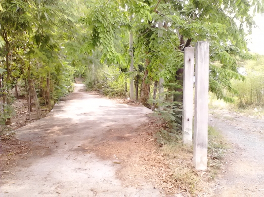 ขอนอกเรื่องหน่อยครับ บ้านพร้อมที่ดินติดแม่น้ำป่าสัก ด้านหน้าติดถนน 2 ด้าน