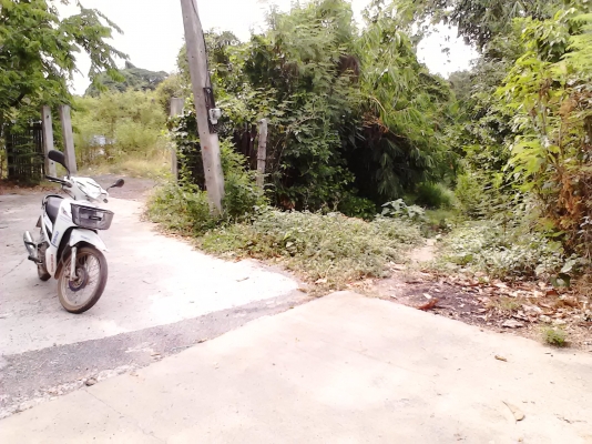 ขอนอกเรื่องหน่อยครับ บ้านพร้อมที่ดินติดแม่น้ำป่าสัก ด้านหน้าติดถนน 2 ด้าน