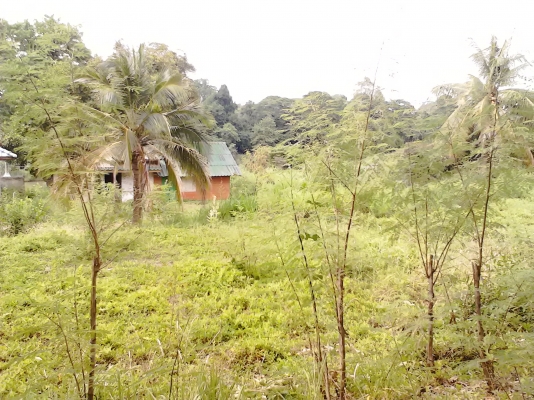 ขอนอกเรื่องหน่อยครับ บ้านพร้อมที่ดินติดแม่น้ำป่าสัก ด้านหน้าติดถนน 2 ด้าน