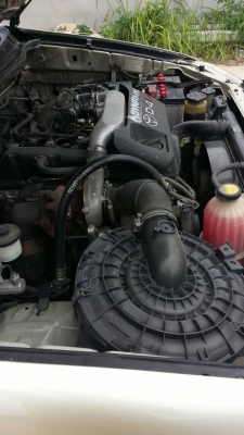 วีโก้หัวเดียว