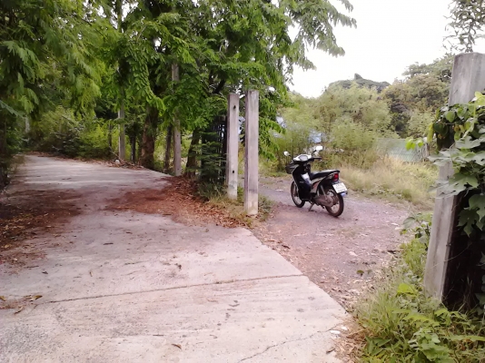 ขอนอกเรื่องหน่อยครับ บ้านพร้อมที่ดินติดแม่น้ำป่าสัก ด้านหน้าติดถนน 2 ด้าน ขอนอกเรื่องหน่อยครับ บ้านพร้อมที่ดินติดแม่น้ำป่าสัก ด้านหน้าติดถนน 2 ด้าน