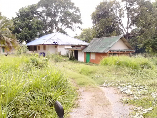 ขอนอกเรื่องหน่อยครับ บ้านพร้อมที่ดินติดแม่น้ำป่าสัก ด้านหน้าติดถนน 2 ด้าน ขอนอกเรื่องหน่อยครับ บ้านพร้อมที่ดินติดแม่น้ำป่าสัก ด้านหน้าติดถนน 2 ด้าน