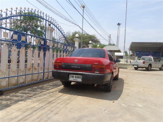 ขายสามห่วง  60,000