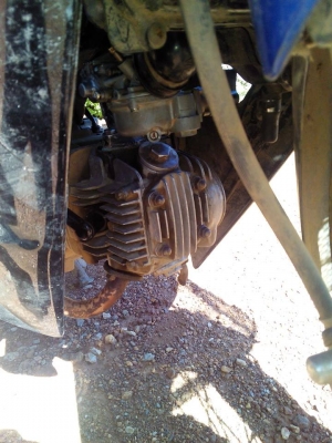 เวฟ100ปี51ทะเบียนโอน