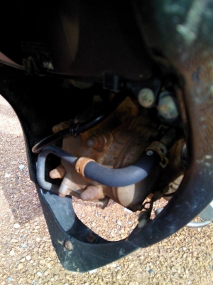 โซกัน125สตารทมือ