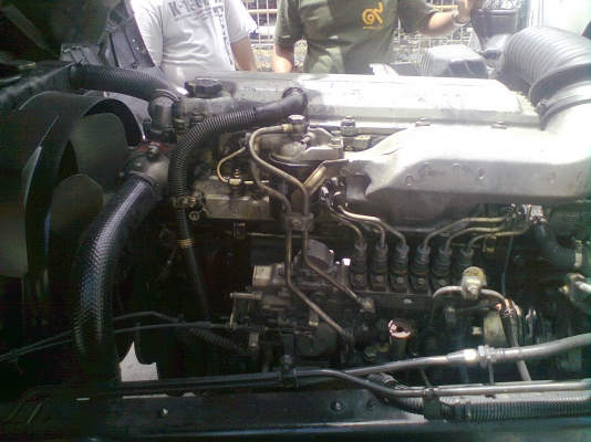 ขายฮีโน่สมอเงิน FF1