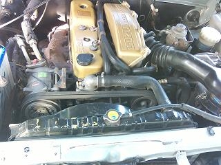 ขายหน้าหนูปี97