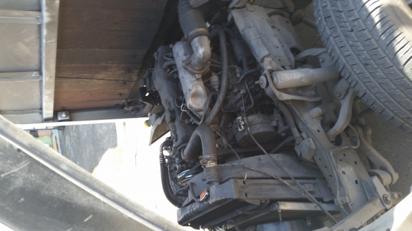 ISUZU  NQR หัวการ์ตูน