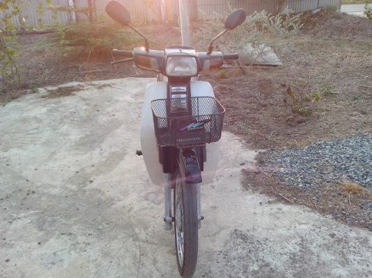 ขายดรีมตูดเป็ดสีดำ ทะเบียนโอน