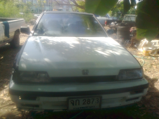 ขายฮอนด้า แอคคอด ตาแมว มีแก๊ส ขายฮอนด้า แอคคอด ตาแมว มีแก๊ส