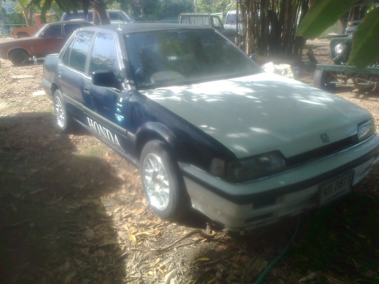 ขายฮอนด้า แอคคอด ตาแมว มีแก๊ส