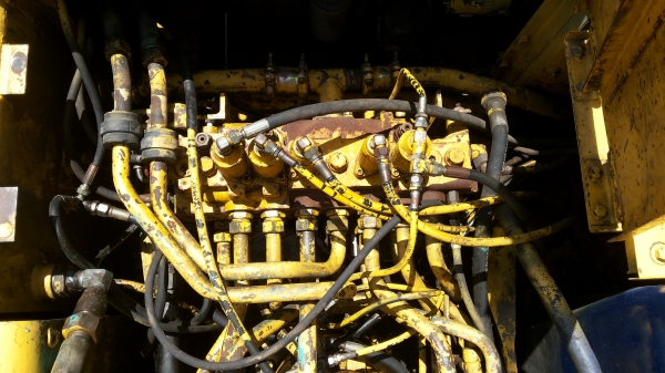 ขายด่วนโค