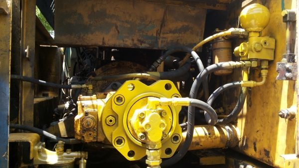 ขายด่วนโค