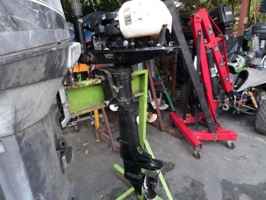 ขายเรือปิเนียม LANDUA 12 ฟุต พร้อมเครื่อง MERCURY 5 แรง