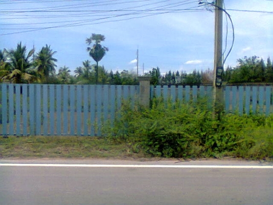 ที่ดินเปล่าติดถนนนํ้าไม่ท่วม มี1ไร่1งาน ขาย 2,300,000 บาท