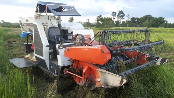 **275,000 บ.ต่อรอง**คันที่1!!!ขายรถเกี่ยวแบบรองกระสอบ KUBOTA DC60 เครื่องเดิมปั้มเดิม 60แรง แน่นดีแรง ปากเกี่ยวสภาพดี ชั่วโมงทำงาน3,9xx ชม. ช่องระบายข้าว2ช่อง ช่วงล่าง70-80\% ทำงานดีคล่องตัวเลี้ยวง่าย รถใช้งานอยู่ปกติ สีสันดี ซื้อไปทำงานได้เลย พร้อมใช้พร้อ