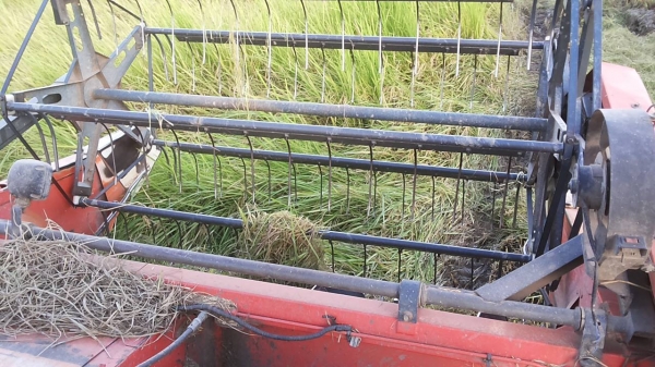 **275,000 บ.ต่อรอง**คันที่1!!!ขายรถเกี่ยวแบบรองกระสอบ KUBOTA DC60 เครื่องเดิมปั้มเดิม 60แรง แน่นดีแรง ปากเกี่ยวสภาพดี ชั่วโมงทำงาน3,9xx ชม. ช่องระบายข้าว2ช่อง ช่วงล่าง70-80\% ทำงานดีคล่องตัวเลี้ยวง่าย รถใช้งานอยู่ปกติ สีสันดี ซื้อไปทำงานได้เลย พร้อมใช้พร้อ