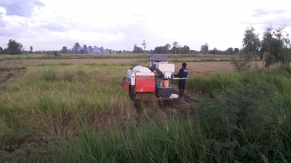 **275,000 บ.ต่อรอง**คันที่1!!!ขายรถเกี่ยวแบบรองกระสอบ KUBOTA DC60 เครื่องเดิมปั้มเดิม 60แรง แน่นดีแรง ปากเกี่ยวสภาพดี ชั่วโมงทำงาน3,9xx ชม. ช่องระบายข้าว2ช่อง ช่วงล่าง70-80\% ทำงานดีคล่องตัวเลี้ยวง่าย รถใช้งานอยู่ปกติ สีสันดี ซื้อไปทำงานได้เลย พร้อมใช้พร้อ