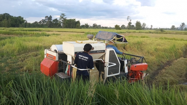 **275,000 บ.ต่อรอง**คันที่1!!!ขายรถเกี่ยวแบบรองกระสอบ KUBOTA DC60 เครื่องเดิมปั้มเดิม 60แรง แน่นดีแรง ปากเกี่ยวสภาพดี ชั่วโมงทำงาน3,9xx ชม. ช่องระบายข้าว2ช่อง ช่วงล่าง70-80\% ทำงานดีคล่องตัวเลี้ยวง่าย รถใช้งานอยู่ปกติ สีสันดี ซื้อไปทำงานได้เลย พร้อมใช้พร้อ