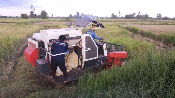 **275,000 บ.ต่อรอง**คันที่1!!!ขายรถเกี่ยวแบบรองกระสอบ KUBOTA DC60 เครื่องเดิมปั้มเดิม 60แรง แน่นดีแรง ปากเกี่ยวสภาพดี ชั่วโมงทำงาน3,9xx ชม. ช่องระบายข้าว2ช่อง ช่วงล่าง70-80\% ทำงานดีคล่องตัวเลี้ยวง่าย รถใช้งานอยู่ปกติ สีสันดี ซื้อไปทำงานได้เลย พร้อมใช้พร้อ